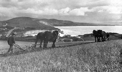 Ploughing at Freshwater Bay
