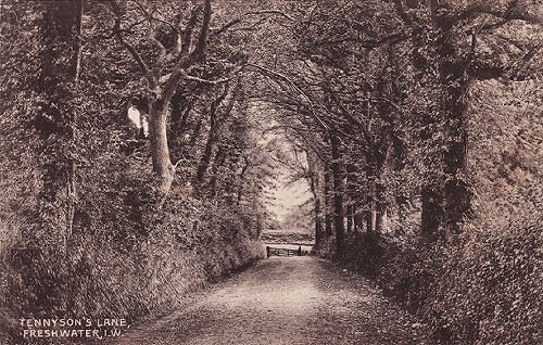 Tennyson Lane, Freshwater