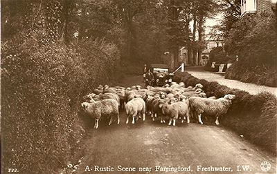 Rustic Scene in Freshwater