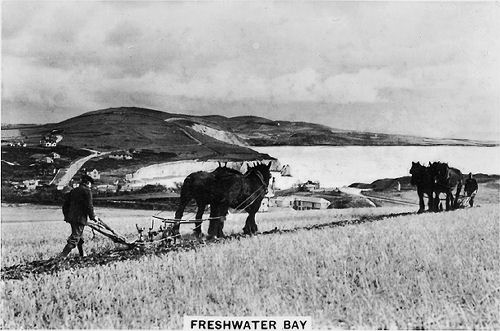 Ploughing at Freshwater Bay