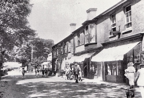 Laceys parade